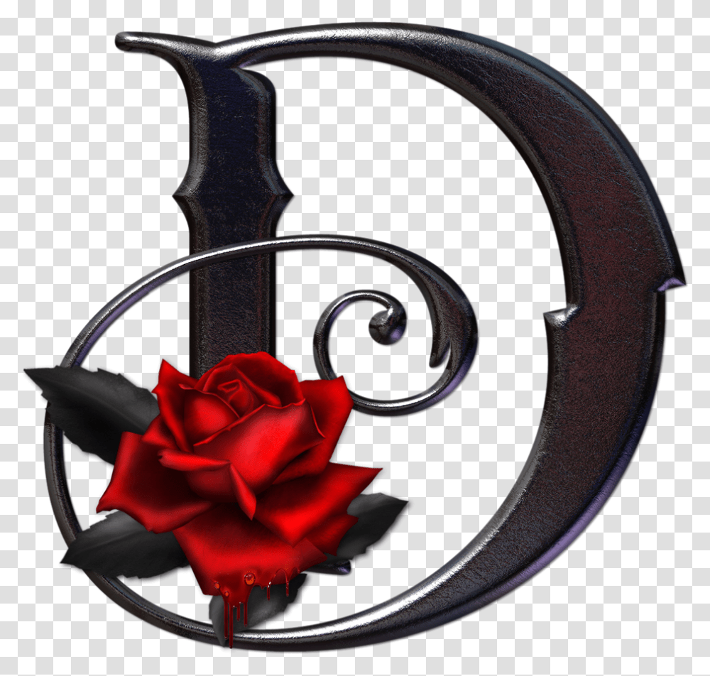 Gothic Letter D, Rose, Flower, Plant, Blossom Transparent Png