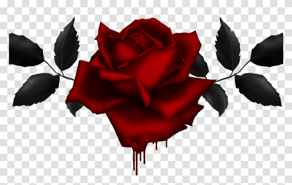 Gothic Rose Drawing At Getdrawingscom Free For Personal Gothic Rose, Flower, Plant, Blossom Transparent Png
