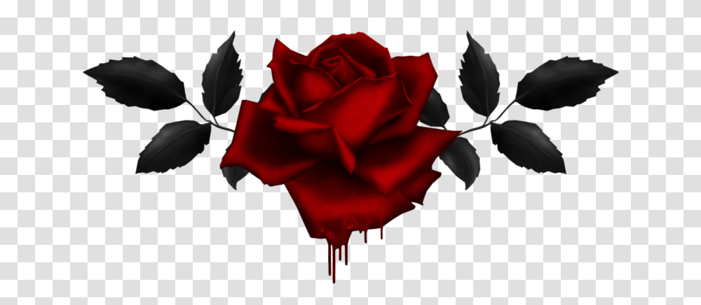 Gothic Rose Image Gothic Rose, Flower, Plant, Blossom, Petal Transparent Png