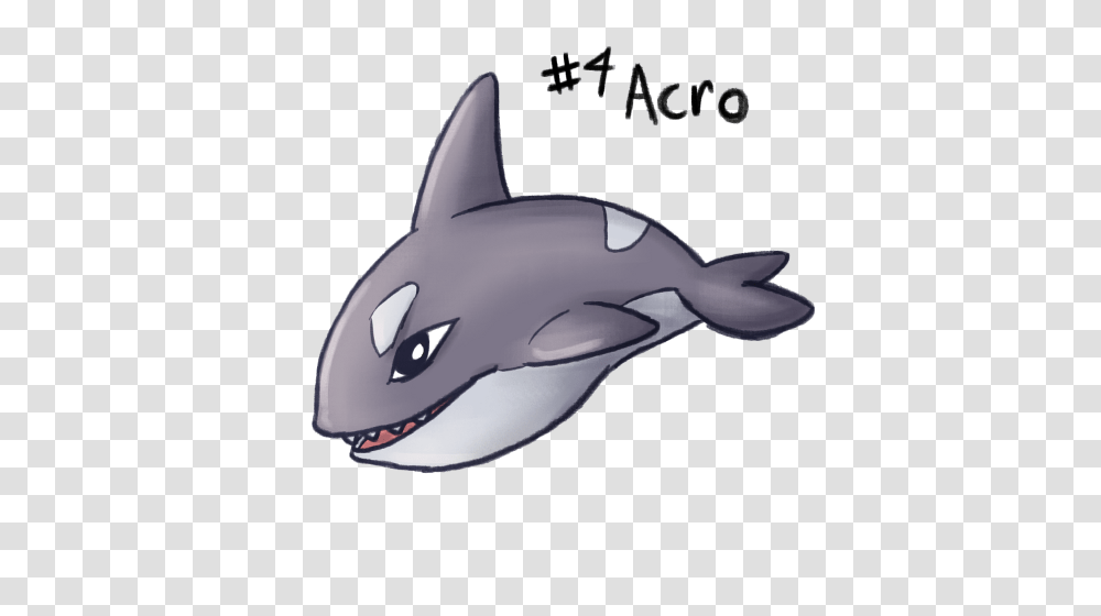 Gotta Popkas Acro Is Cute And Was Fun To Draw But Really It, Shark, Sea Life, Fish, Animal Transparent Png
