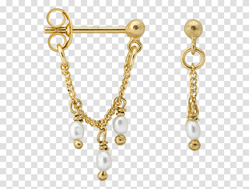 Gouden Oorbellen 18 Karaat, Accessories, Accessory, Jewelry, Gold Transparent Png