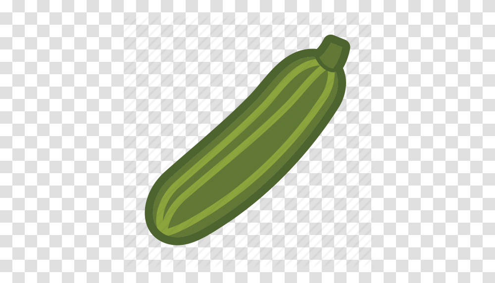 Gourd Squash Vegetable Zucchini Icon, Plant, Food, Cucumber, Rug Transparent Png