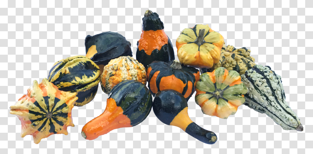 Gourds Gourds Transparent Png