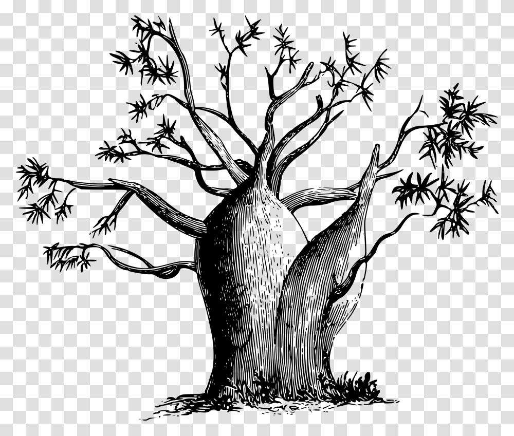 Gouty Stem Tree Clip Arts Australian Boab Tree Vector, Gray, World Of Warcraft Transparent Png