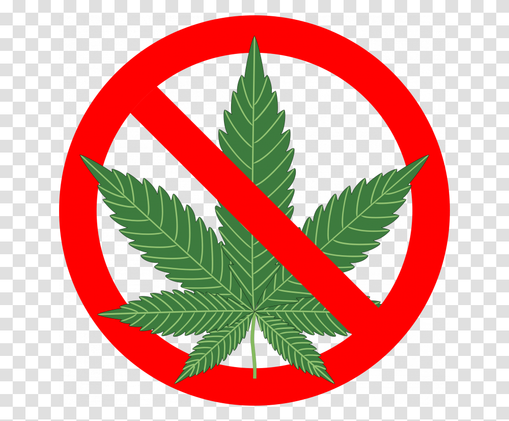 Grab And Cannabis In, Plant, Weed, Leaf, Hemp Transparent Png