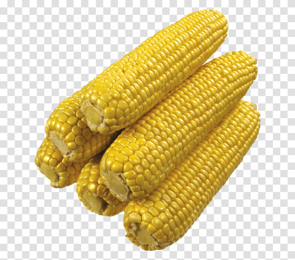 Grab And Download Corn Image Corn On The Cob No Background, Plant, Vegetable, Food, Snake Transparent Png