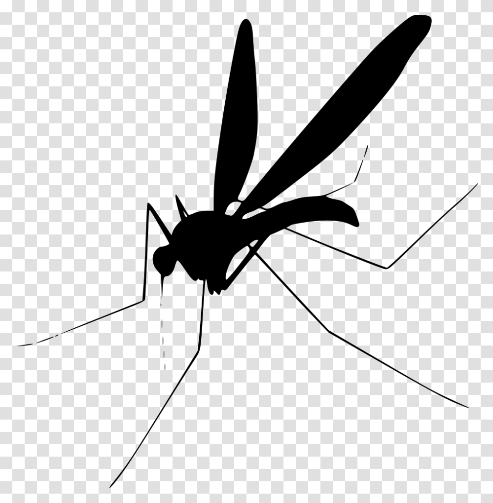 Grab And Download Mosquito Clipart Background Mosquito Clip Art, Insect, Invertebrate, Animal, Wasp Transparent Png