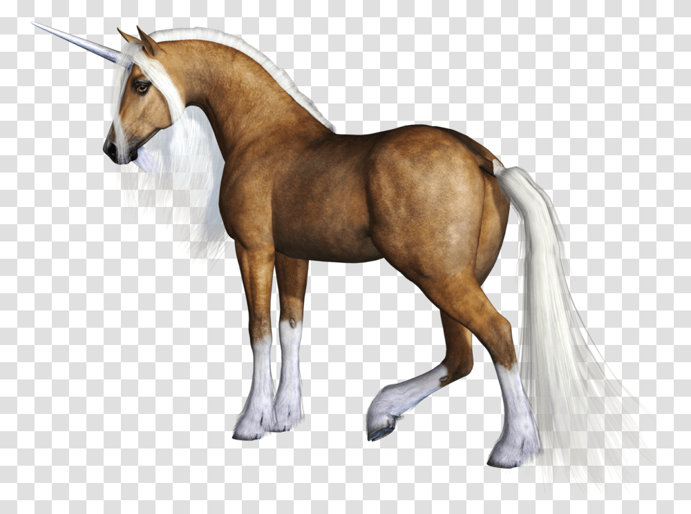 Grab And Download Unicorn Clipart Mane, Horse, Mammal, Animal, Stallion Transparent Png