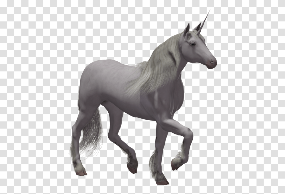 Grab And Download Unicorn File Real Unicorn With No Background, Horse, Mammal, Animal, Andalusian Horse Transparent Png
