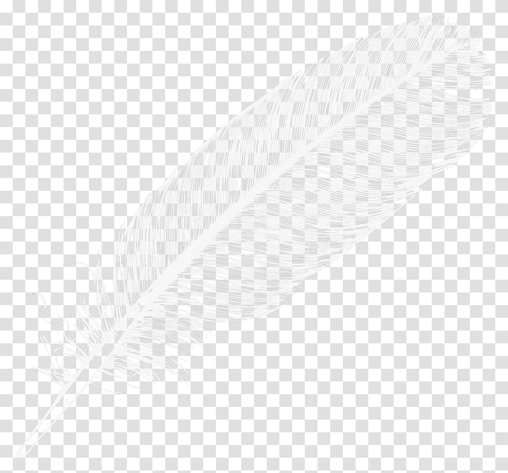 Grab And Feather Image Without Background Literary Criticism, Staircase, Drawing, Steamer Transparent Png