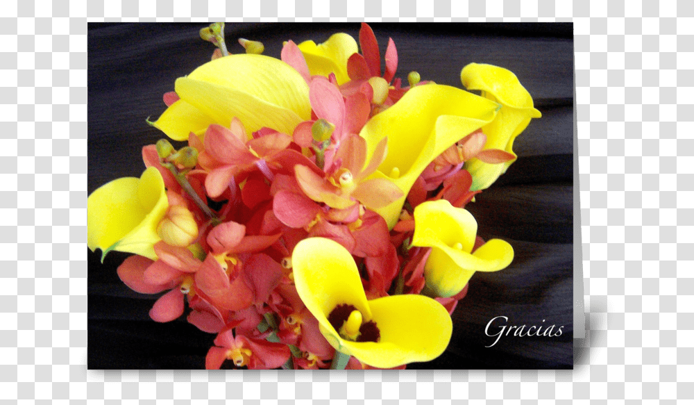 Graciasthank You Greeting Card Bouquet, Plant, Flower, Blossom, Flower Arrangement Transparent Png