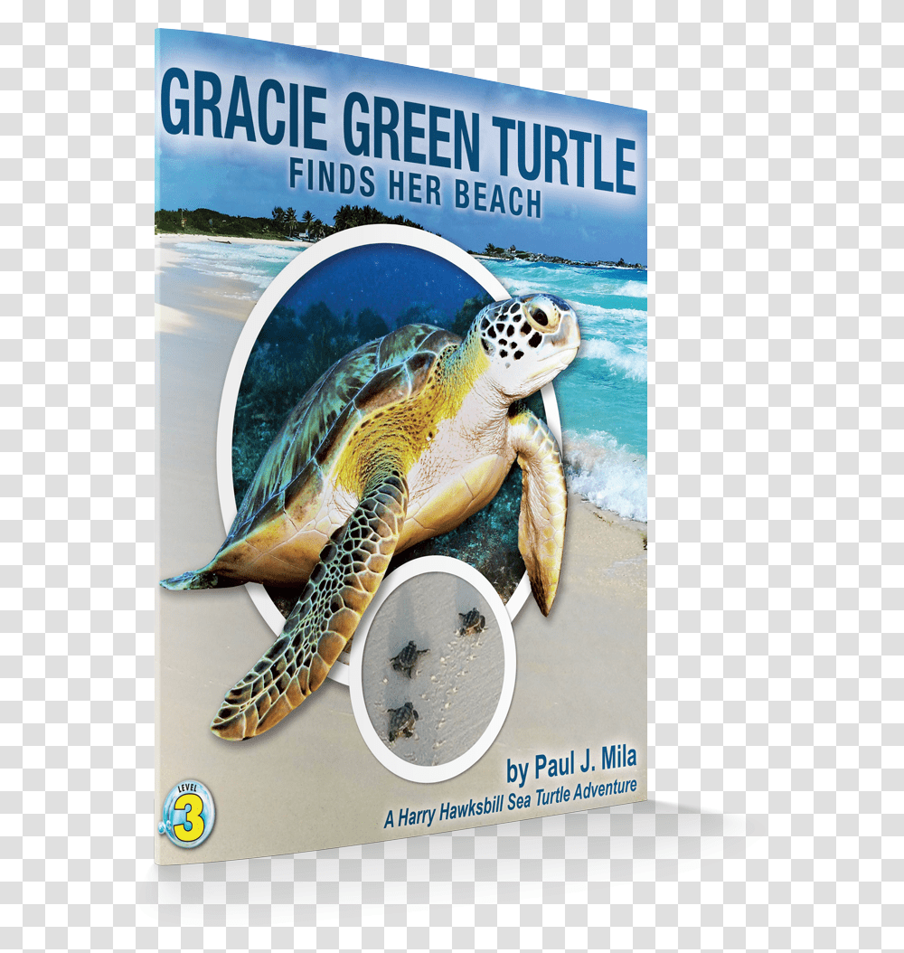 Gracie Cover 3d Green Sea Turtle, Sea Life, Animal, Outdoors, Water Transparent Png