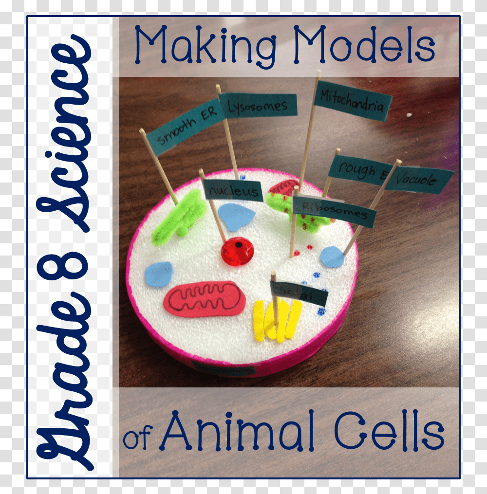 Grade 8 Animal Cell Models Animal Cells Model Project, Sewing, Pattern, Alphabet Transparent Png
