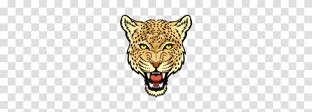 Grade Leopards, Mammal, Animal, Wildlife, Panther Transparent Png