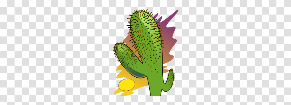 Grade, Plant, Cactus, Pollen, Flower Transparent Png