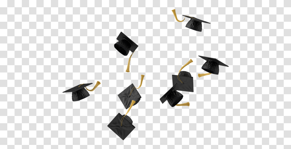 Graduaciones, Graduation, Bird, Animal Transparent Png