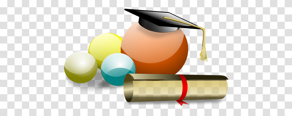 Graduate Education, Lamp, Bird, Animal Transparent Png