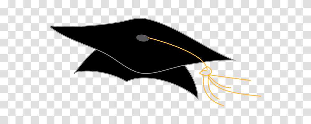 Graduation Cap Education, Bow, Wasp Transparent Png