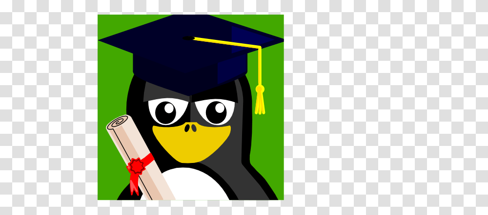 Graduation Clipart Penguin Transparent Png