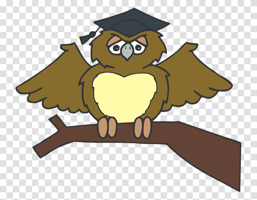 Graduation Clipart Tree, Bird, Animal, Owl, Gun Transparent Png