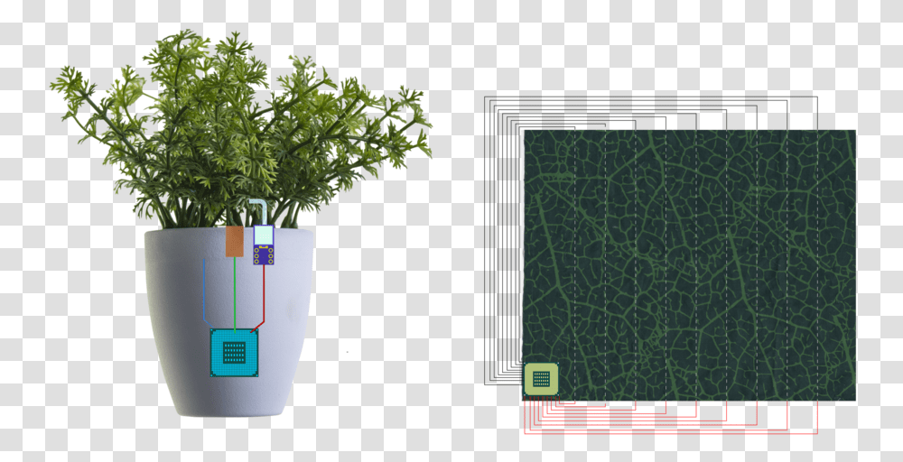 Graficos 01 Small 4, Potted Plant, Vase, Jar, Pottery Transparent Png