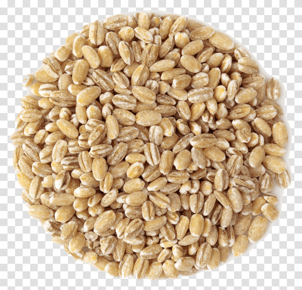 Grain Barley, Plant, Rug, Vegetable, Food Transparent Png