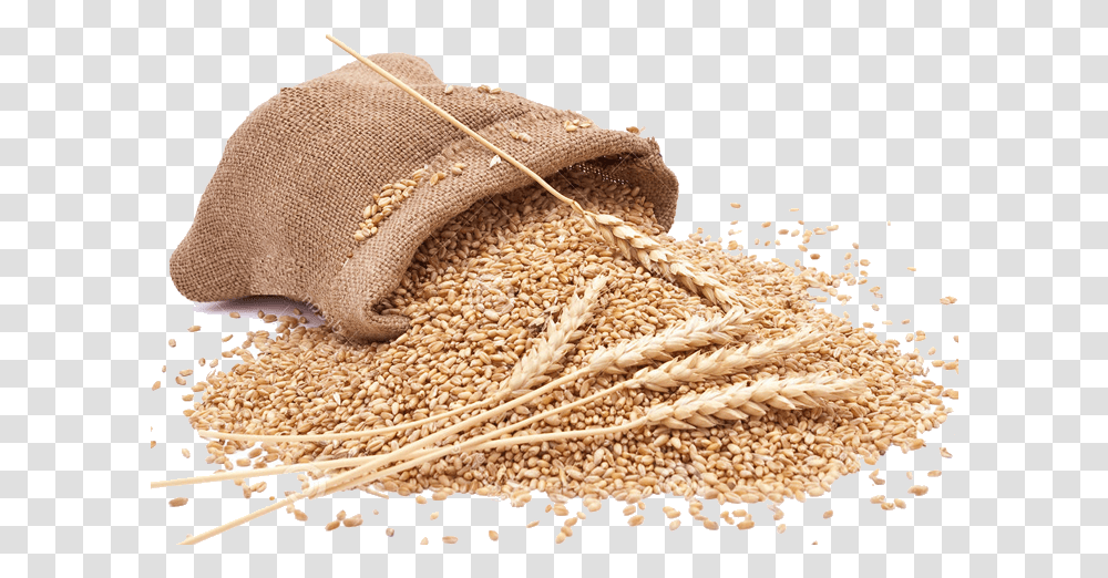 Grain Clipart Grains, Plant, Rug, Vegetable, Food Transparent Png