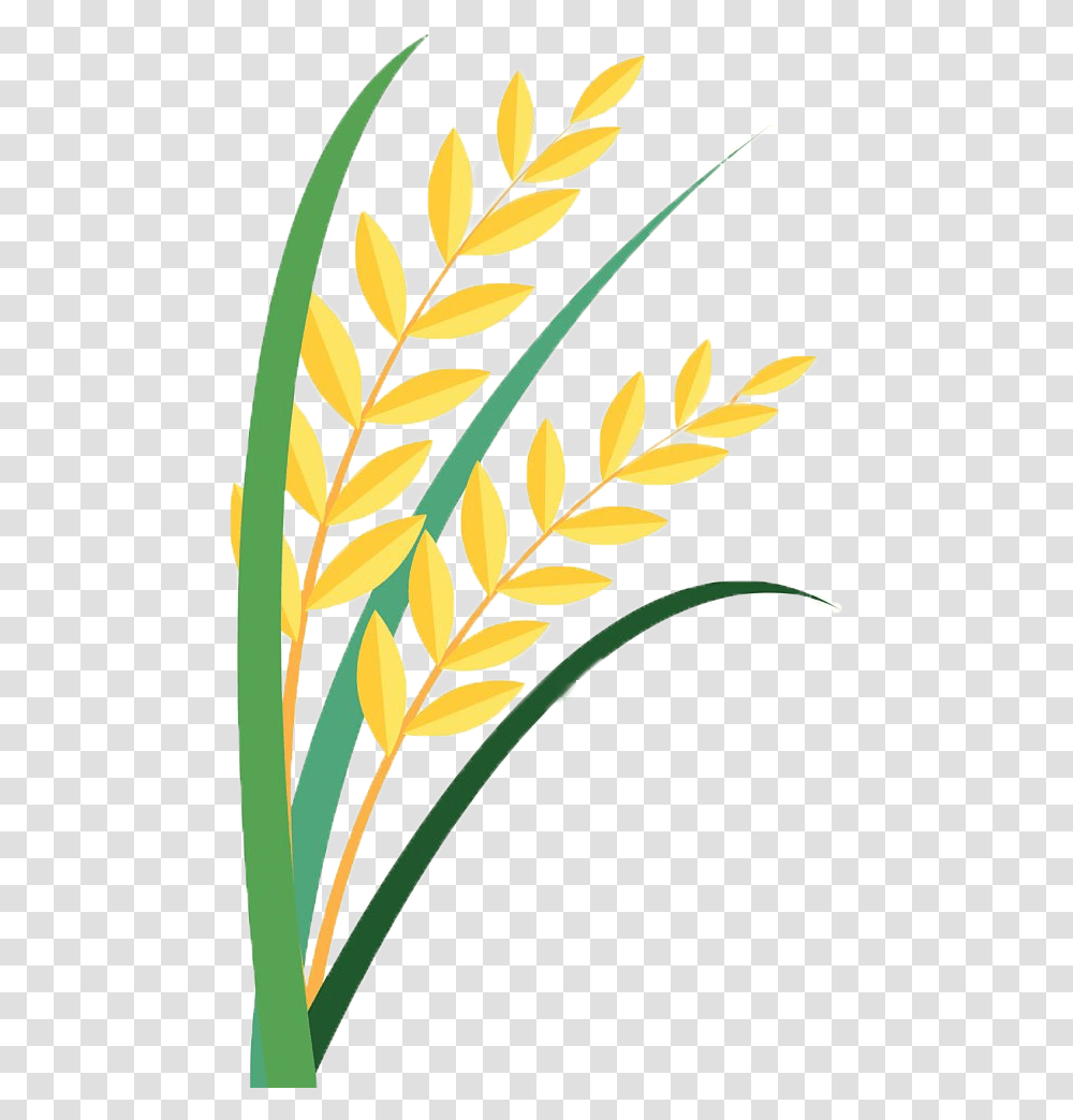 Grain Clipart Paddy Paddy Clipart, Leaf, Plant, Green, Flower Transparent Png