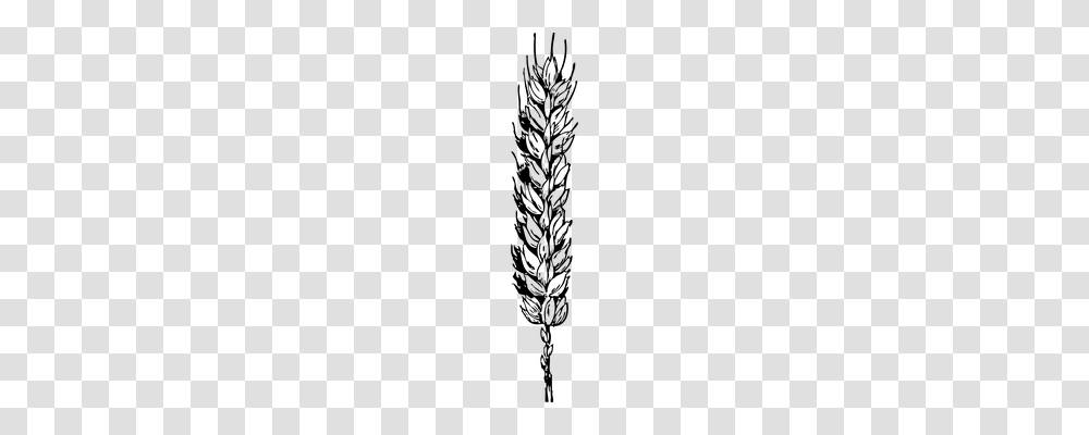 Grains Food, Gray, World Of Warcraft Transparent Png