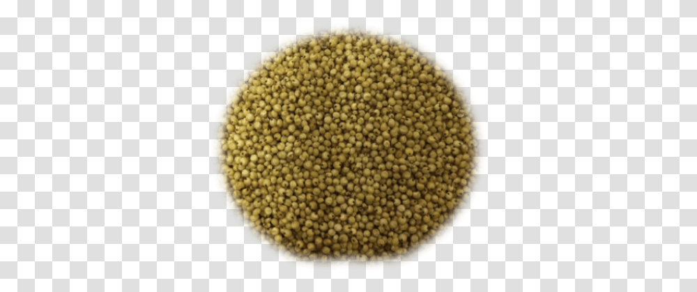 Grains And Vectors For Free Rapeseed, Rug, Food, Plant, Mustard Transparent Png