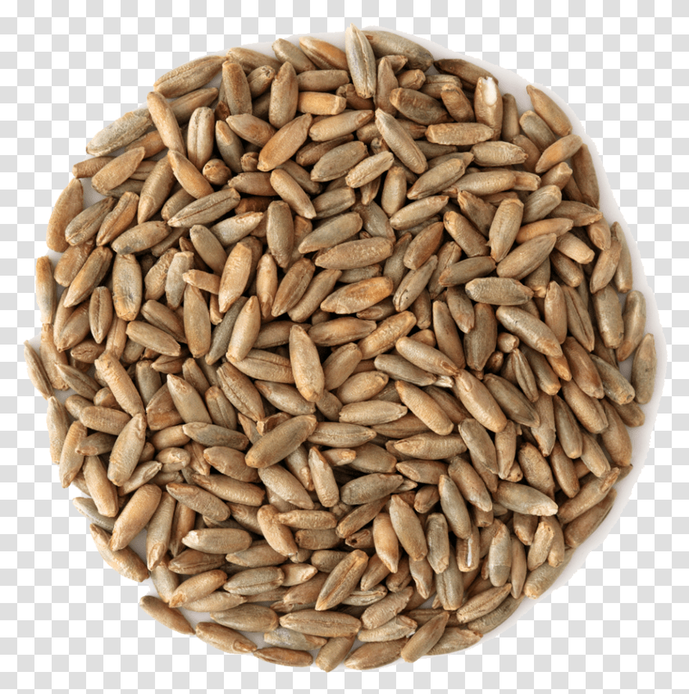 Grains Images Collection For Free Beer, Plant, Vegetable, Food, Fungus Transparent Png