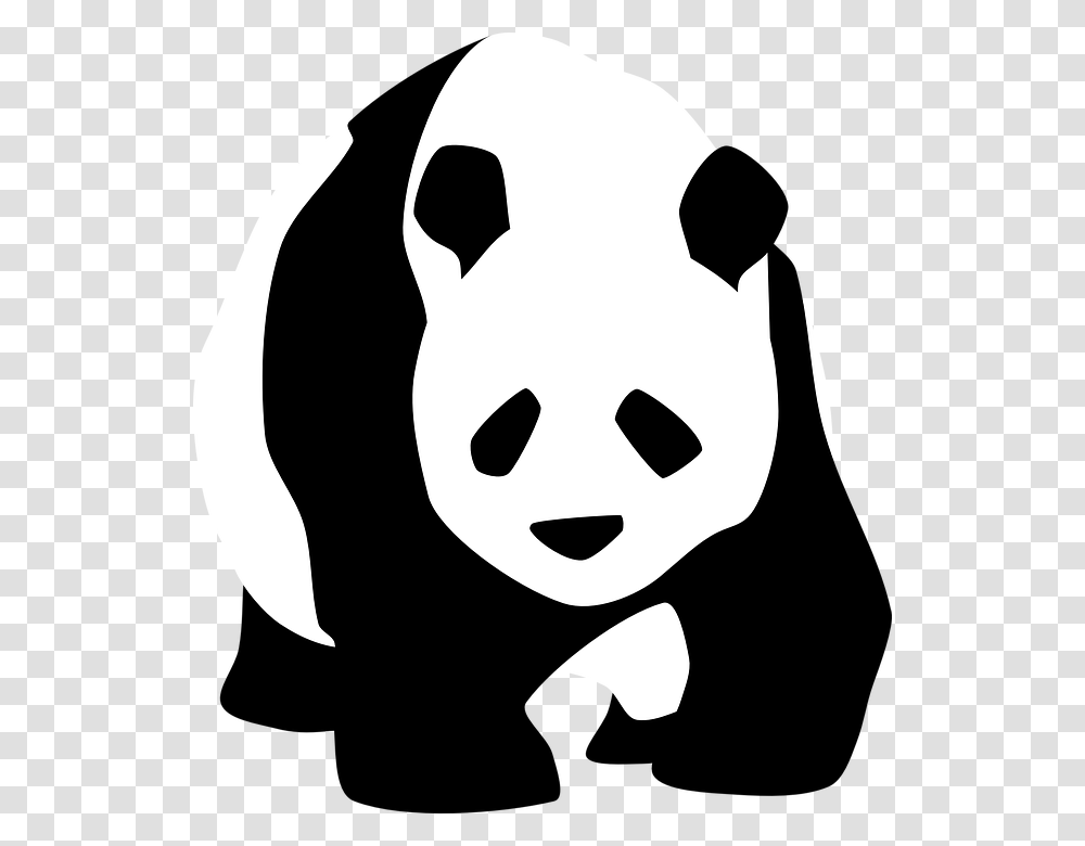 Grakn Pandas Celebrities Grakn, Stencil Transparent Png