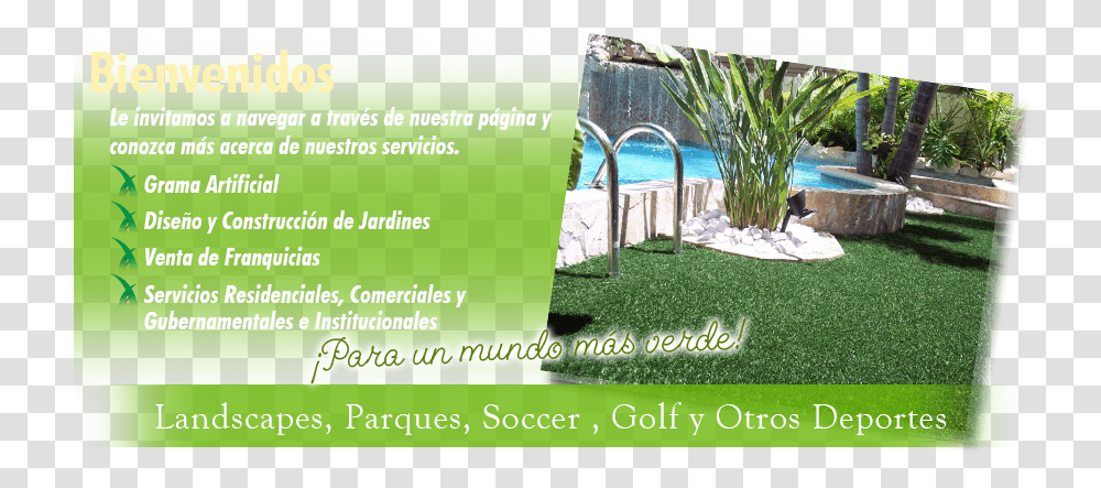 Grama Artificial Puerto Rico Flyer, Grass, Plant, Advertisement, Poster Transparent Png