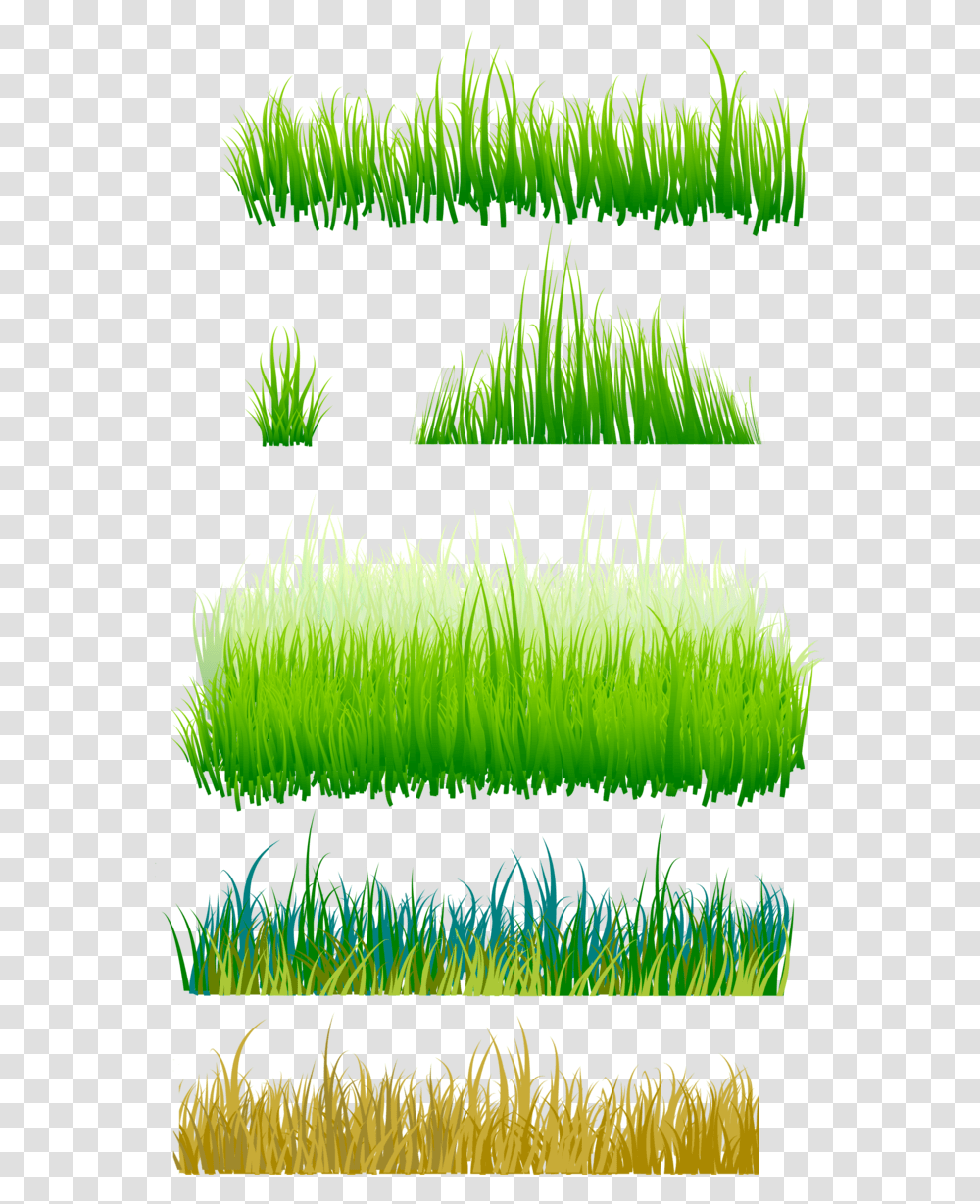 Grama Imagens Grass Grassland, Plant, Moss, Lawn, Green Transparent Png