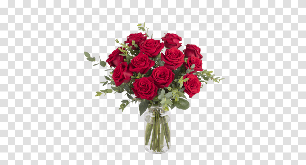 Gran Romance 12 Rosas Rojas Lovely, Floral Design, Pattern, Graphics, Art Transparent Png
