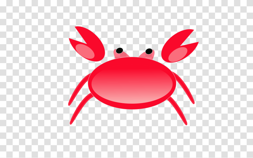 Granchio, Animals, Seafood, Sea Life, Crab Transparent Png