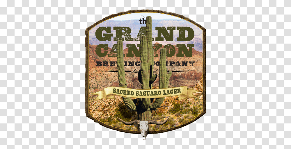 Grand Canyon Sacred Saguaro Horseshoe Bend, Plant, Logo Transparent Png
