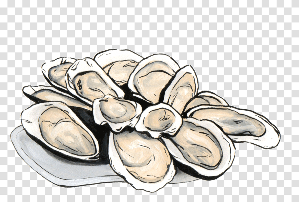 Grand Central Oyster Bar Illustration, Invertebrate, Animal, Sea Life, Seashell Transparent Png