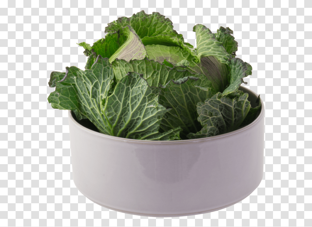 Grand Saladier Haut Big Salad Bowl - 2610 Vegetables Spring Greens, Plant, Cabbage, Food, Produce Transparent Png