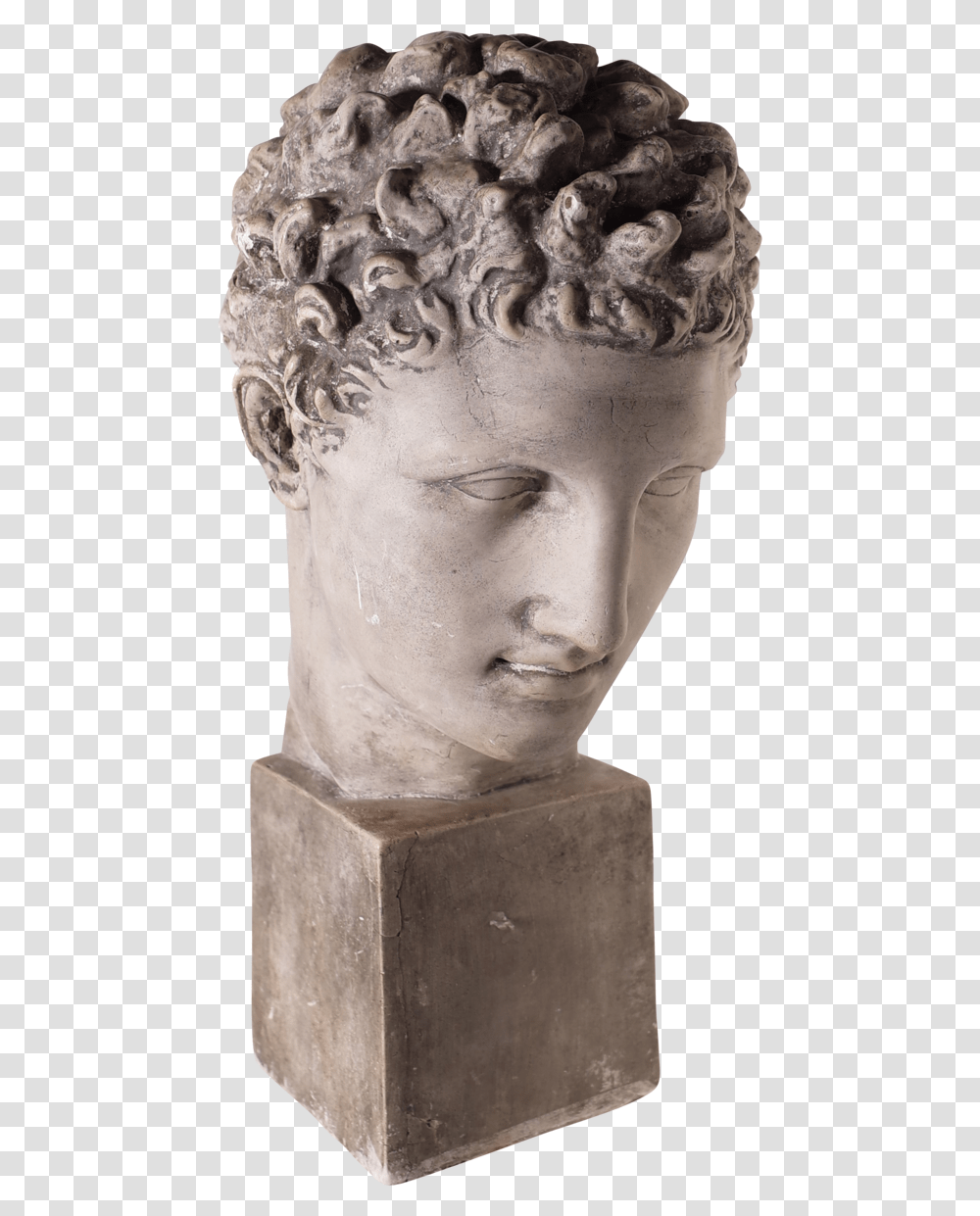 Grand Tour Museum Souvenir Plaster Bust Of David Bust, Head, Sculpture, Person Transparent Png