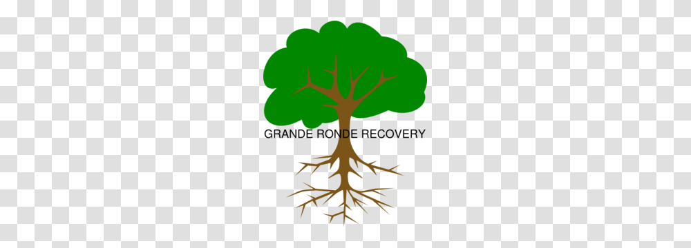 Grande Ronde Recovery Clip Art, Root, Plant, Tree, Poster Transparent Png
