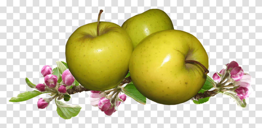 Granny Smith, Plant, Fruit, Food, Apple Transparent Png