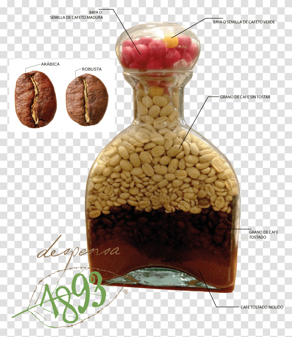 Granos De Cafe, Plant, Jar, Vase, Pottery Transparent Png