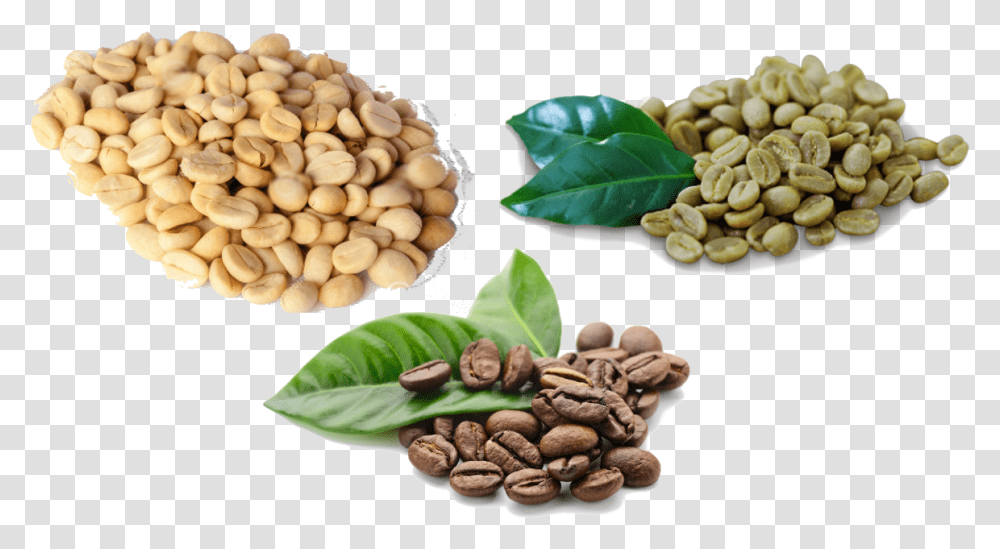 Granos De Cafe, Plant, Vegetable, Food, Nut Transparent Png