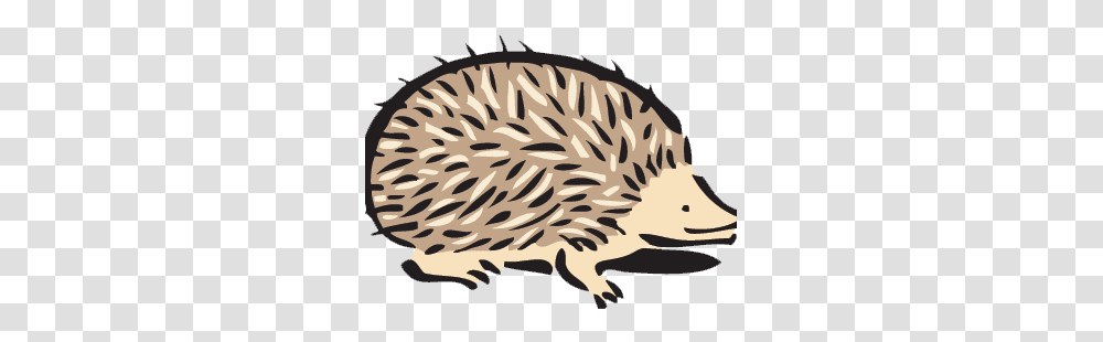 Grant Writing Administration, Animal, Rodent, Mammal, Hedgehog Transparent Png