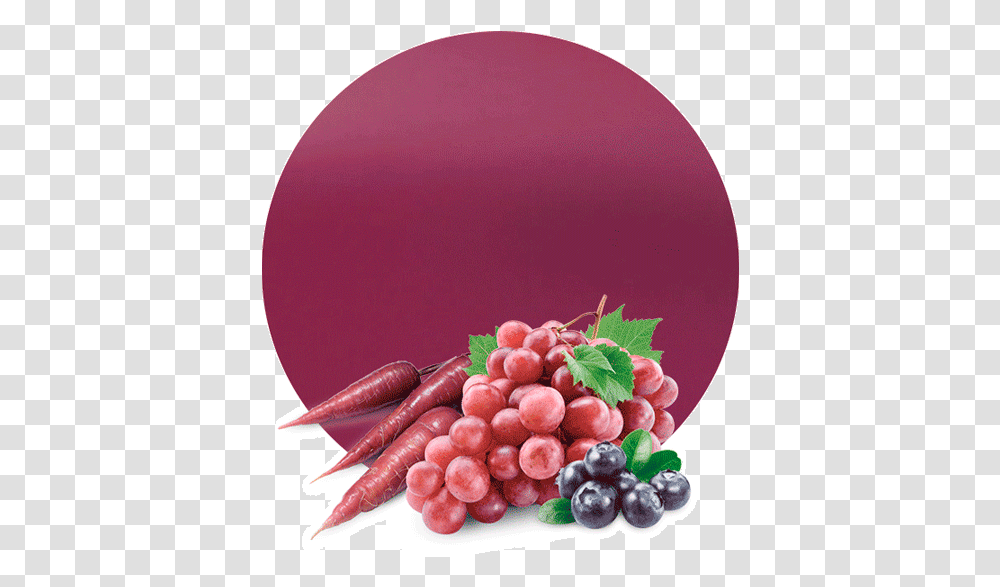 Grape Blueberry Purple Carrot & Cabbage Concentrate Raisin Red, Plant, Fruit, Food, Grapes Transparent Png