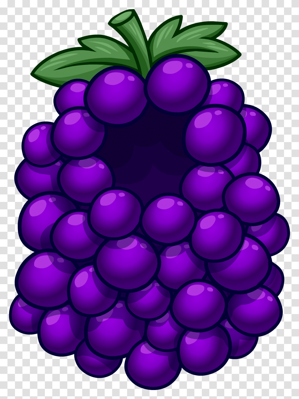 Grape Bunch Costume Club Penguin Wiki Fandom Powered, Plant, Fruit, Food, Sphere Transparent Png
