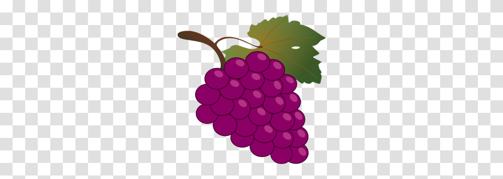 Grape Clip Art For Web, Plant, Grapes, Fruit, Food Transparent Png
