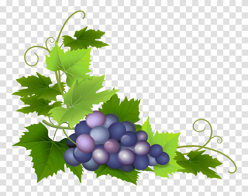 Grape Clip Art Transparent Png