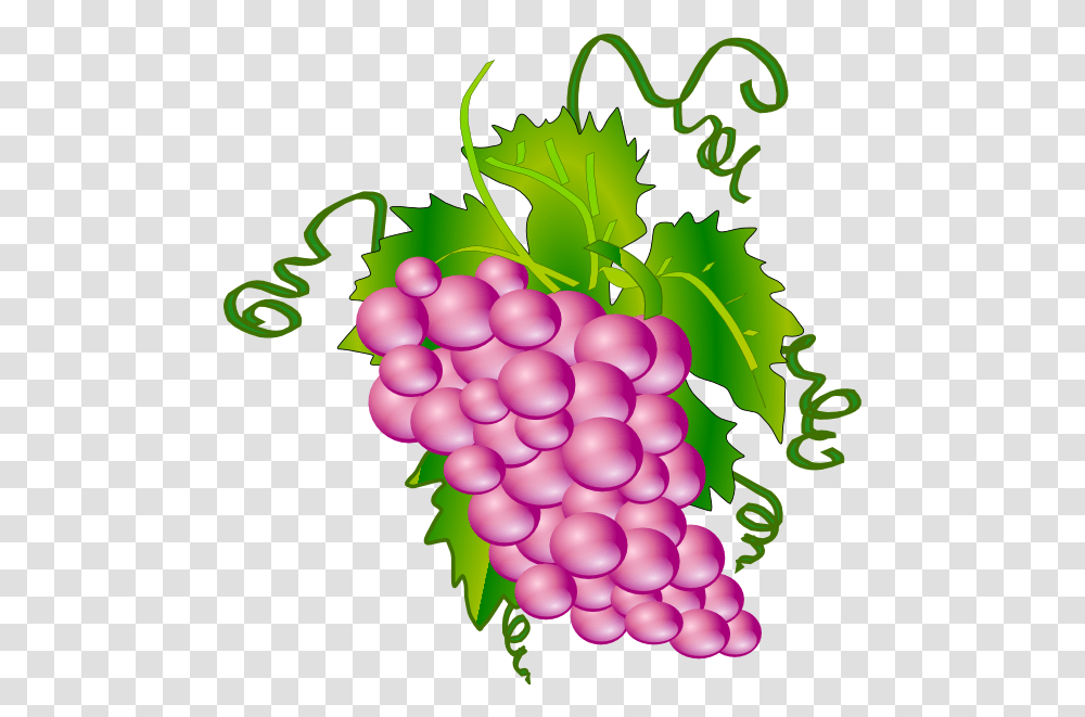 Grape Clip Arts For Web Pink Grapes Clipart, Fruit, Plant, Food, Vine Transparent Png